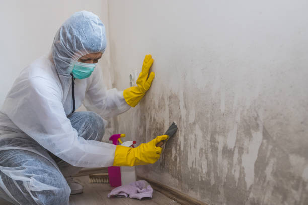 Best Residential Mold Removal  in Mcconnell Af, KS
