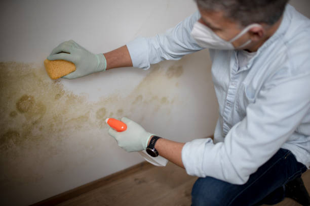 Best Water Damage Restoration  in Mcconnell Af, KS