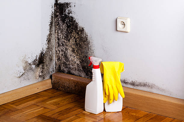 Best Emergency Mold Removal  in Mcconnell Af, KS