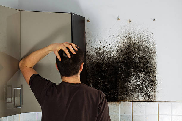 Best Mold Remediation  in Mcconnell Af, KS